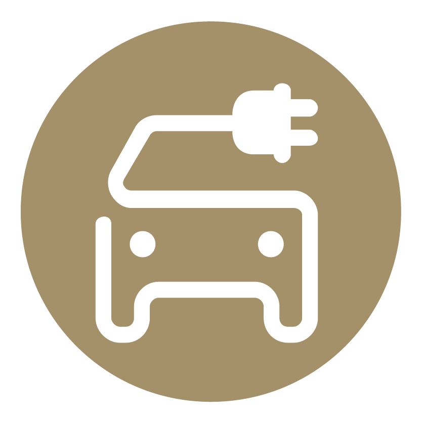 Battery Electric Vehicles