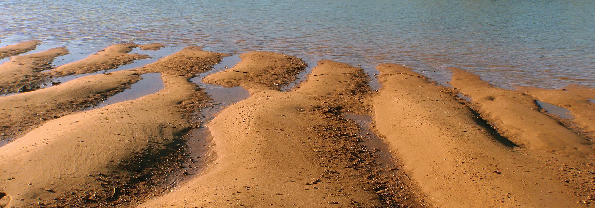 creek bed