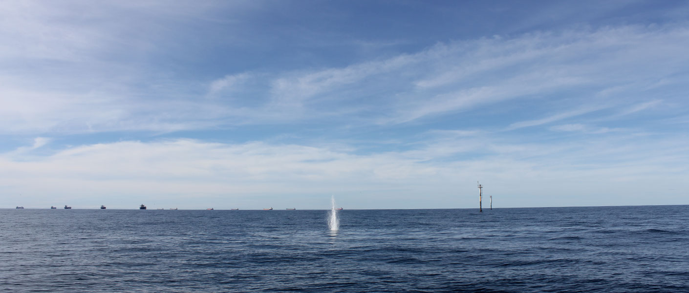 oil spill tracking buoy being deployed from helicopter