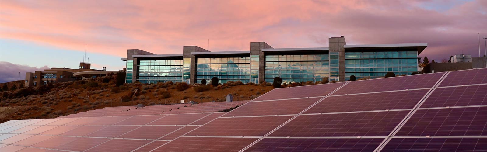 Solar panels in front of campus buildings with a pink sky.