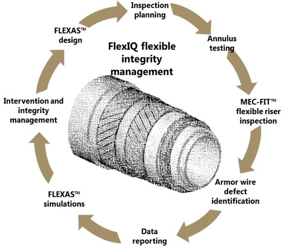 FlexIQ system