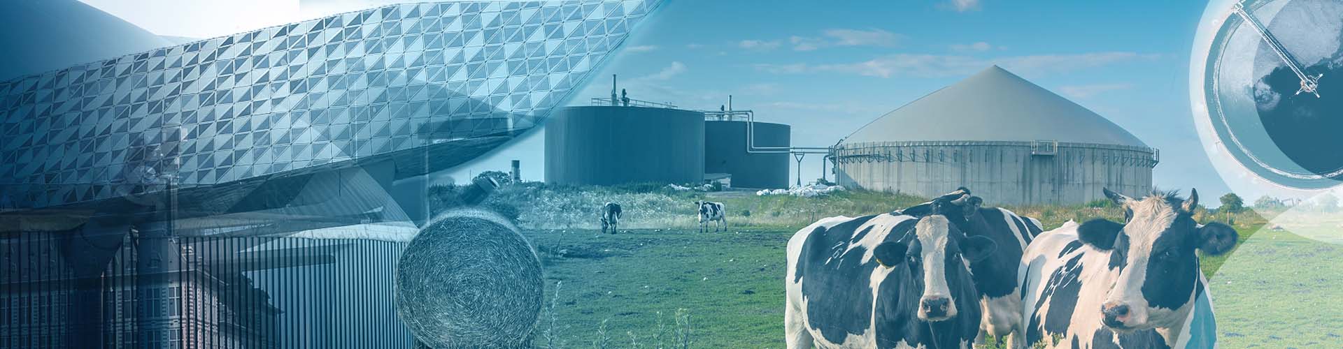 Collage of the Antwerp Port House, cows in paddock at a biofuel plant and a water treatment tank.