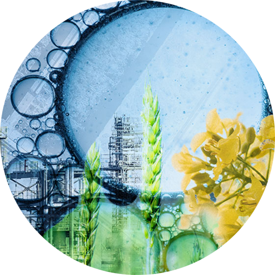 Collage of canola plant, hydrogen molecules, and a refinery.