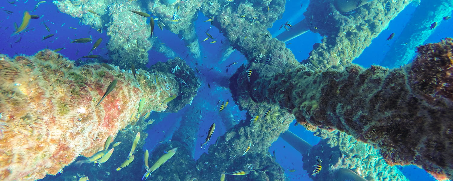 Oil and gas wellhead platform under the water surrounded by fish