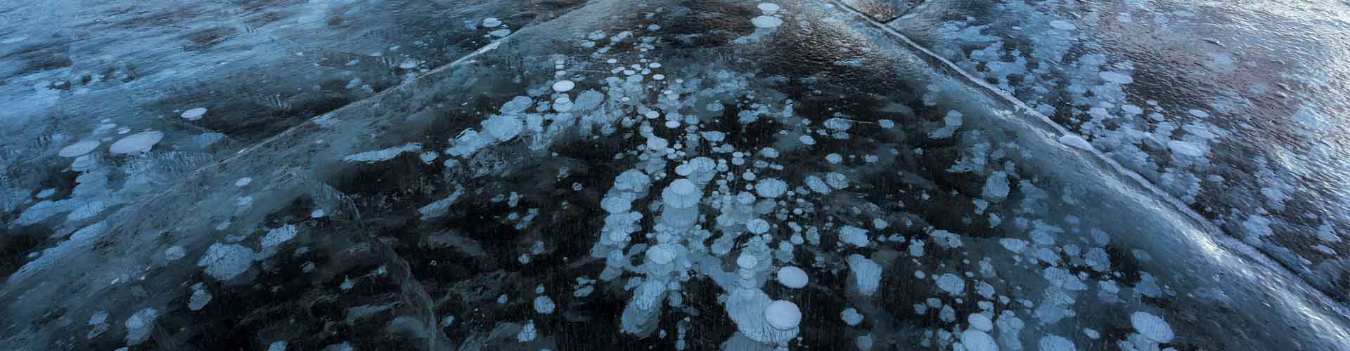 Bubbles beneath a frozen lake surface.