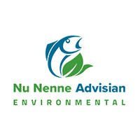Nu Nenne Advisian Environmental logo